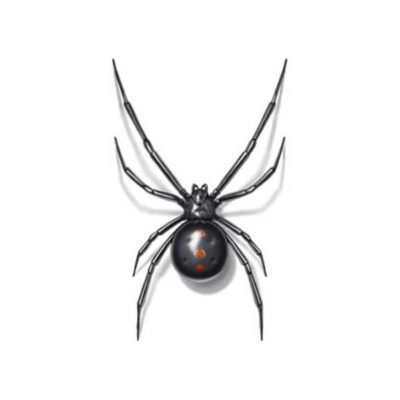 Drawing of a Black Widow from above - keep these dangerous spiders out of your household with Kona Coast Pest Control in Kailua Kona